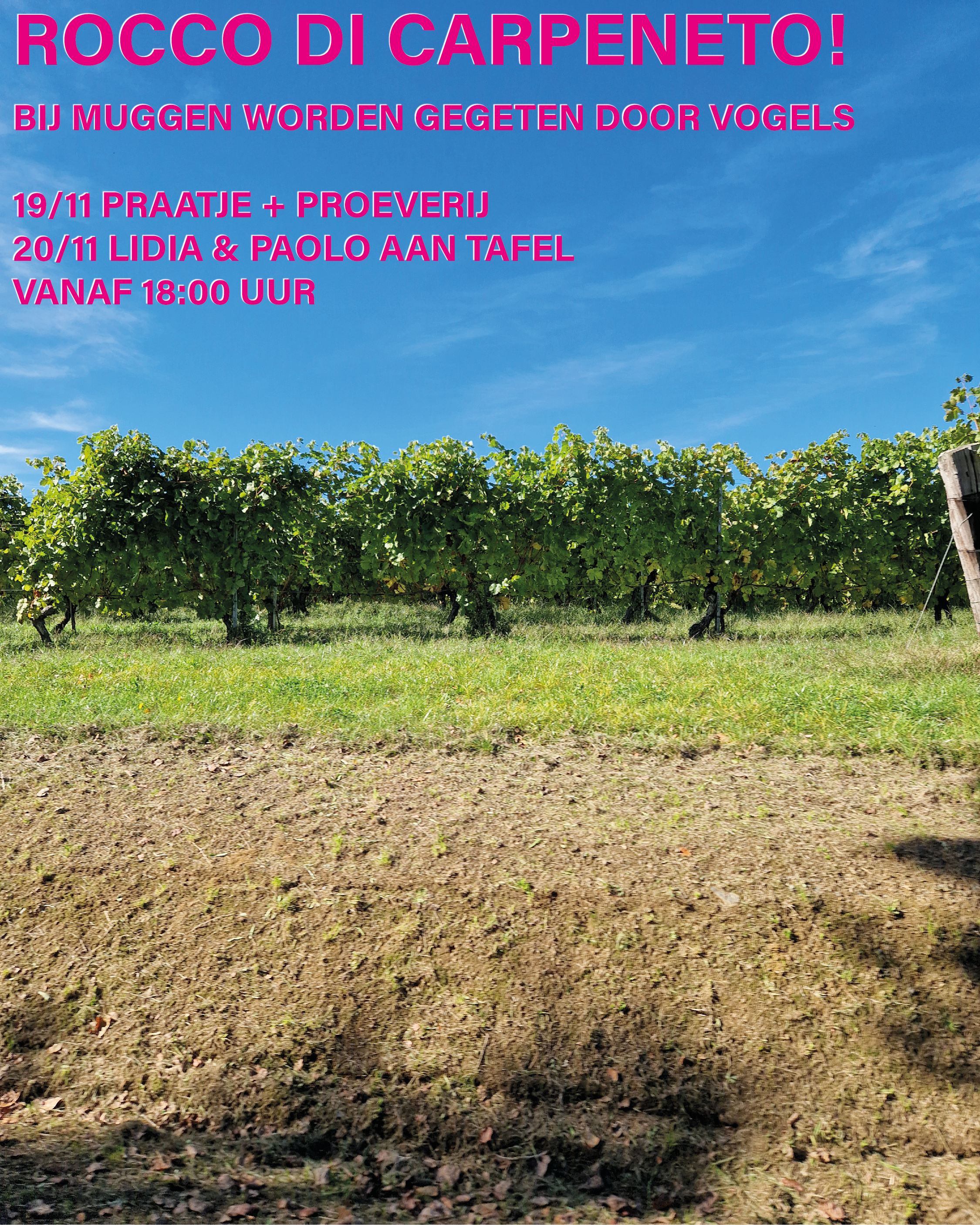 Muggen worden gegeten door vogels