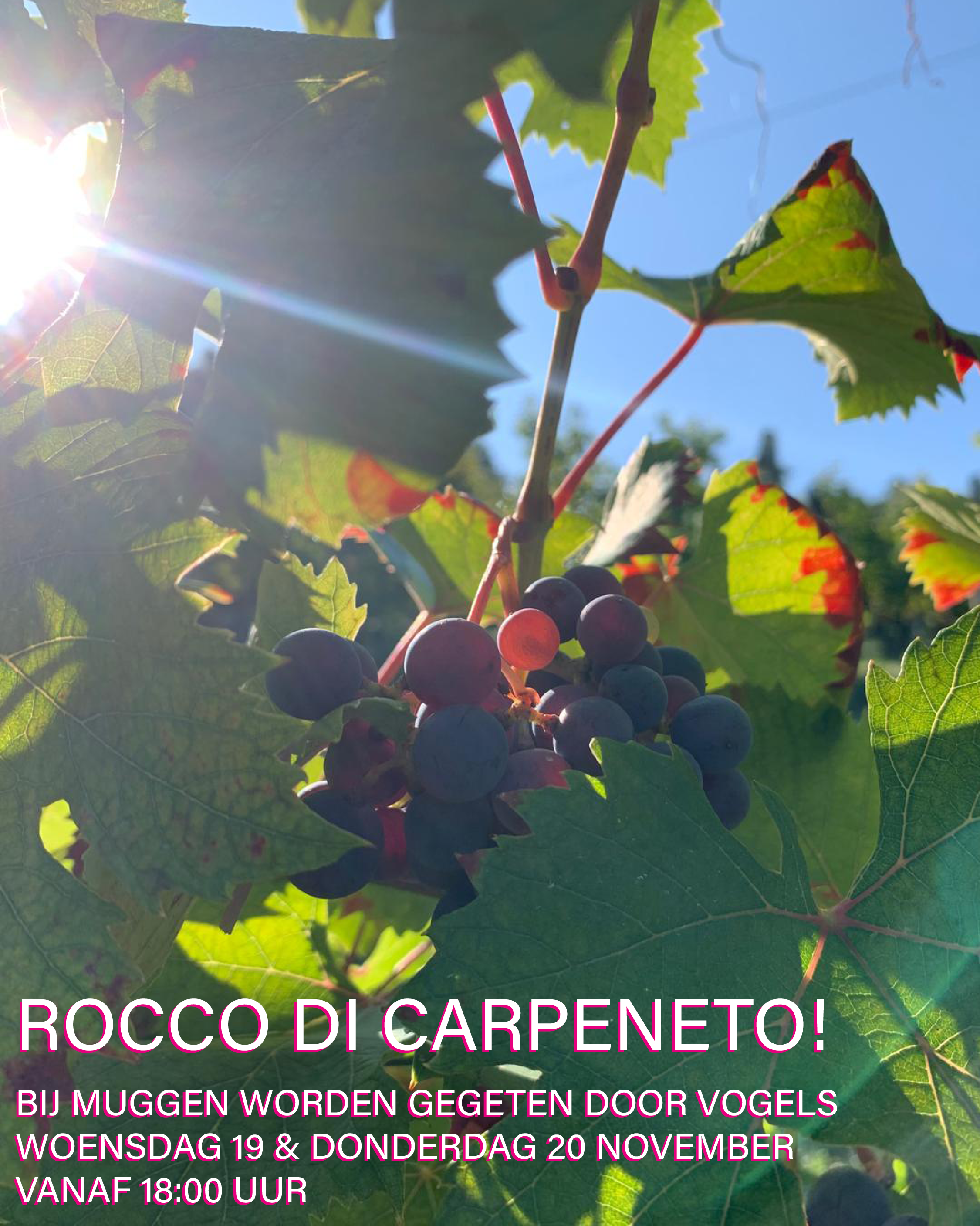 Muggen worden gegeten door vogels